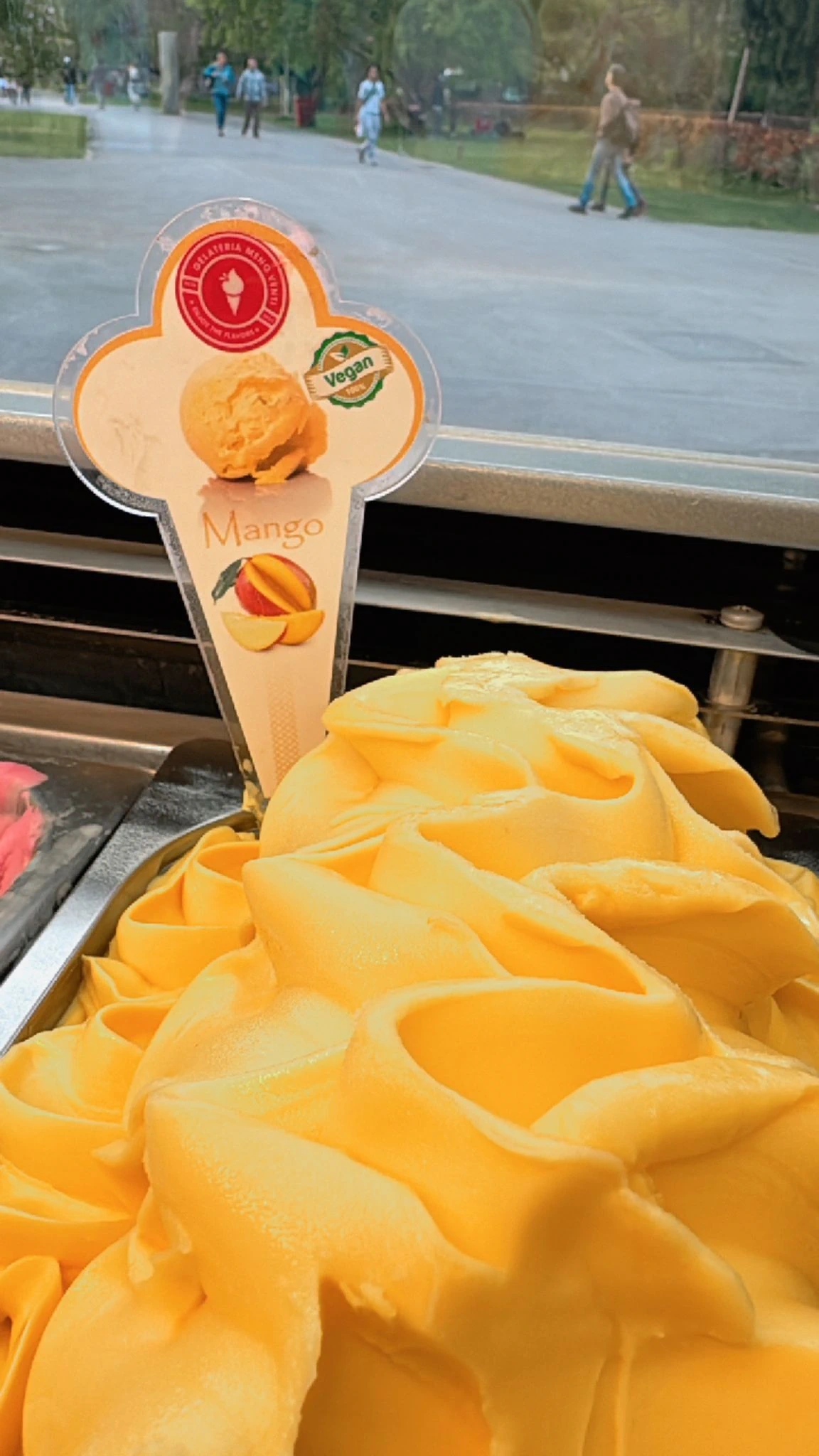 Gelateria Meno Venti gelato and ice cream